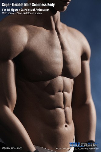 Modellino corpo maschio
